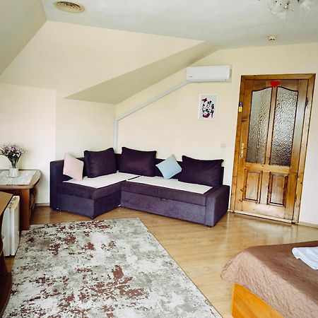 Hotel Delfin Munkács Kültér fotó
